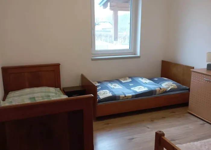 Guest house Ferienwohnung Wang